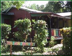 Nature Roots Cottage in Belmont